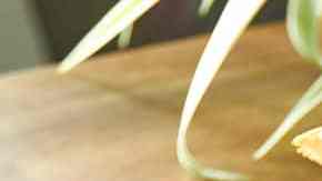 Choripán con chimichurri