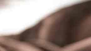 Crujiente de cebolla caramelizada con queso de cabra