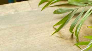 Ensalada de aguacate, mango y fresas