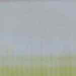 Empanadas de verde ecuatoriana, rellena de queso