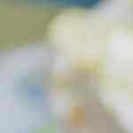 Encebollado ecuatoriano