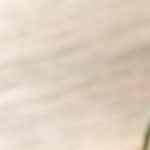 Photo © 2019 The Grosby Group