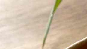 Photo © 2019 The Grosby Group