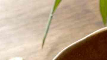 Photo © 2019 The Grosby Group