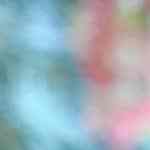 Langostinos rebozados