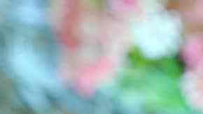 Langostinos rebozados