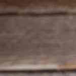 Muslos de pollo encebollados al horno