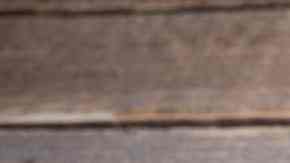 Muslos de pollo encebollados al horno