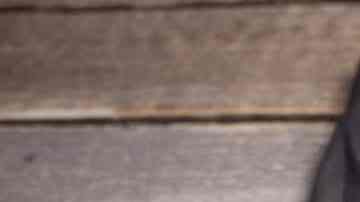 Muslos de pollo encebollados al horno