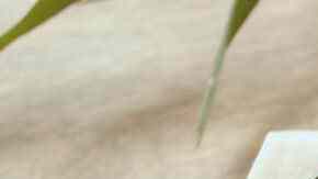 papas al chile y limón