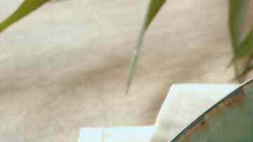 papas al chile y limón