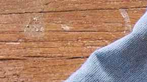 Papillote de merzula