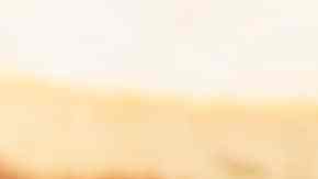 Tarta de queso vegana