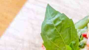 Aguacate relleno con camarones