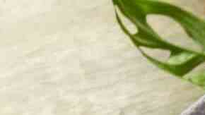 arroz con brócoli y pimientos