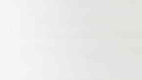 plato de arroz frito con camarones y brocoli