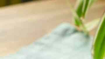 camarones a la diabla