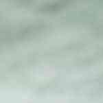 camarones al guajillo