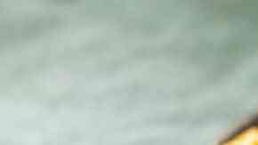 camarones al guajillo