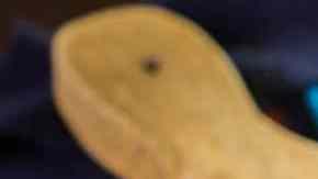 Col morada ecuatoriana