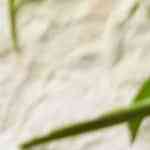 Crujiente de manzana y arándanos