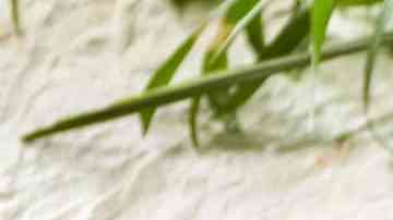 Crujiente de manzana y arándanos