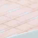 plato de ensalada de garbanzos con atún