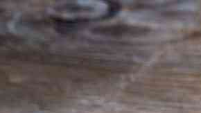 plato de ensalada de pasta con jamon