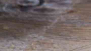 plato de ensalada de pasta con jamon