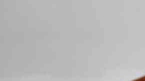 Gallinejas españolas