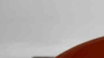 Gallinejas españolas