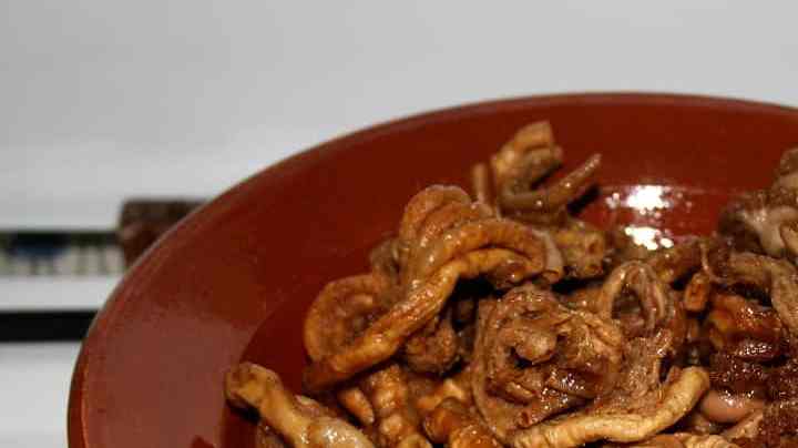 Gallinejas españolas