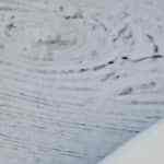 plato de langostinos salteados con vegetales