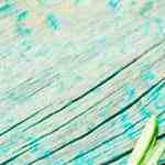 Muslos de pollo en salsa de naranja