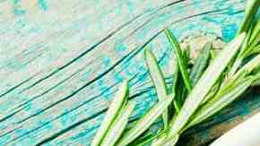 Muslos de pollo en salsa de naranja