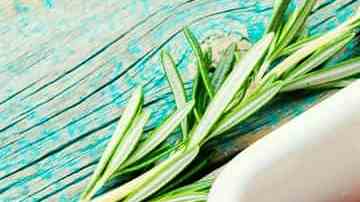 Muslos de pollo en salsa de naranja