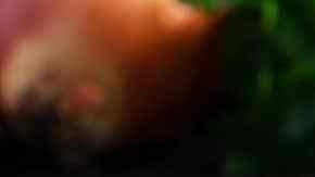 penne alla arrabbiata