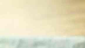 Alitas de pollo al limón