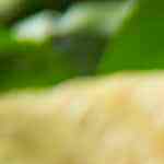 Photo © 2019 The Grosby Group