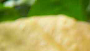 Photo © 2019 The Grosby Group