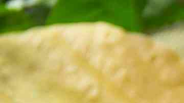 Photo © 2019 The Grosby Group