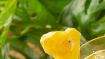 Cócteles con tequila