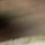 Receta de Discada norteña