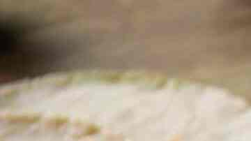 Receta de Discada norteña