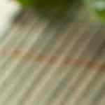 Tacos de coliflor al chipotle