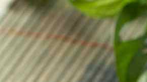 Tacos de coliflor al chipotle