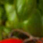 receta de tortellinis de carne