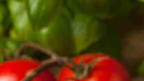 receta de tortellinis de carne