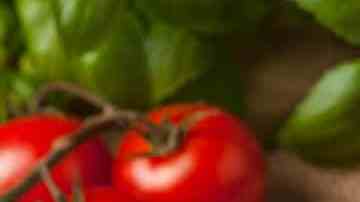 receta de tortellinis de carne