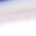 Vieiras a la plancha